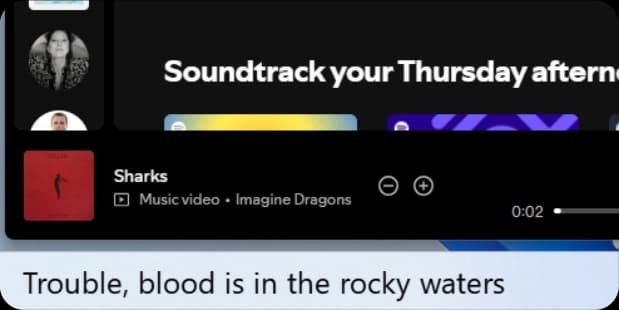 STZ Lyrics Rainmeter screenshot 2